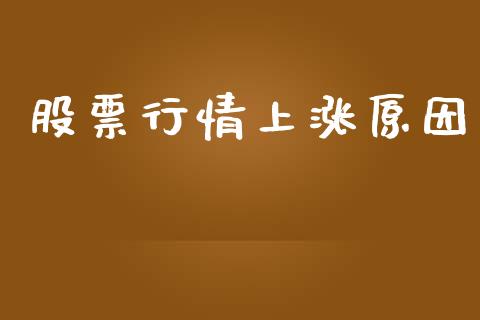 股票行情上涨原因_https://qh.lansai.wang_新股数据_第1张