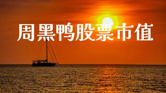 周黑鸭股票市值_https://qh.lansai.wang_新股数据_第1张
