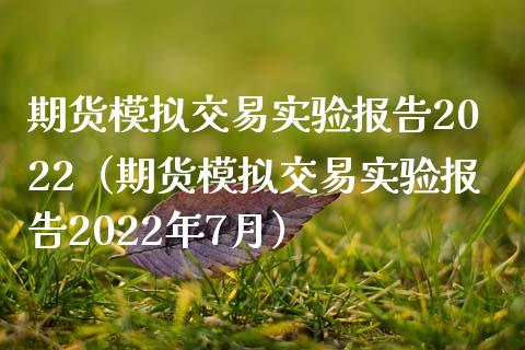 期货模拟交易实验报告2022（期货模拟交易实验报告2022年7月）_https://qh.lansai.wang_新股数据_第1张