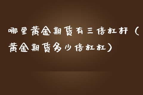 哪里黄金期货有三倍杠杆（黄金期货多少倍杠杠）_https://qh.lansai.wang_期货理财_第1张