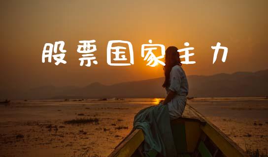 股票国家主力_https://qh.lansai.wang_期货理财_第1张