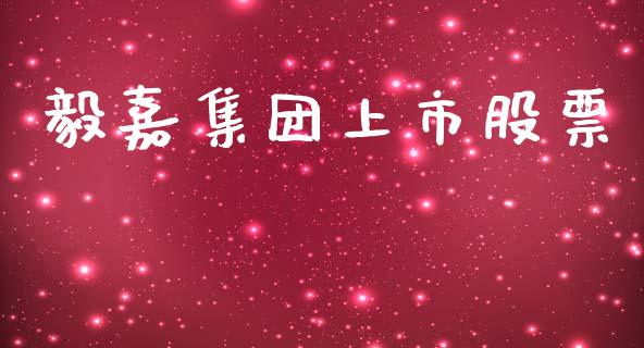 毅嘉集团上市股票_https://qh.lansai.wang_期货理财_第1张