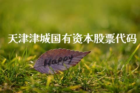 天津津城国有资本股票代码_https://qh.lansai.wang_新股数据_第1张