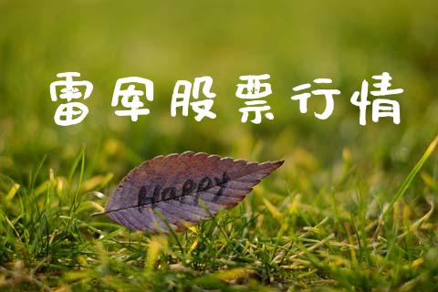 雷军股票行情_https://qh.lansai.wang_股票新闻_第1张