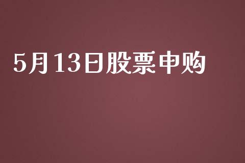5月13日股票申购_https://qh.lansai.wang_新股数据_第1张