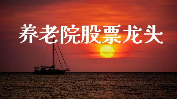 养老院股票龙头_https://qh.lansai.wang_期货喊单_第1张
