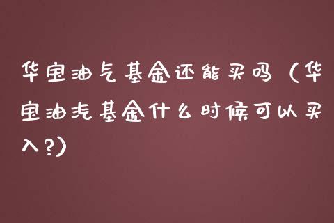 华宝油气基金还能买吗（华宝油汽基金什么时候可以买入?）_https://qh.lansai.wang_期货怎么玩_第1张