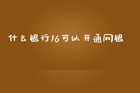 什么银行16可以开通网银_https://qh.lansai.wang_期货喊单_第1张