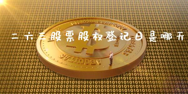 二六三股票股权登记日是哪天_https://qh.lansai.wang_期货理财_第1张