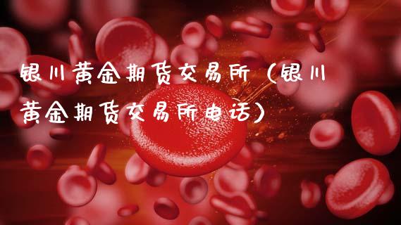 银川黄金期货交易所（银川黄金期货交易所电话）_https://qh.lansai.wang_股票技术分析_第1张