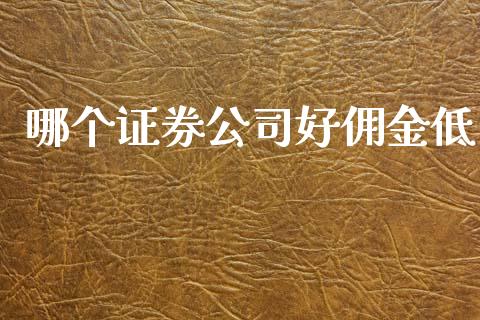 哪个证券公司好佣金低_https://qh.lansai.wang_股票新闻_第1张