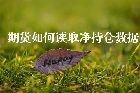 期货如何读取净持仓数据_https://qh.lansai.wang_期货理财_第1张