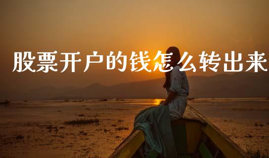 股票开户的钱怎么转出来_https://qh.lansai.wang_期货怎么玩_第1张