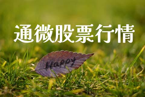 通微股票行情_https://qh.lansai.wang_新股数据_第1张