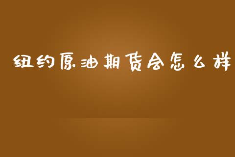 纽约原油期货会怎么样_https://qh.lansai.wang_期货怎么玩_第1张