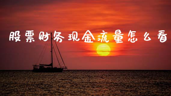 股票财务现金流量怎么看_https://qh.lansai.wang_期货理财_第1张