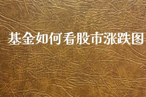 基金如何看股市涨跌图_https://qh.lansai.wang_期货理财_第1张
