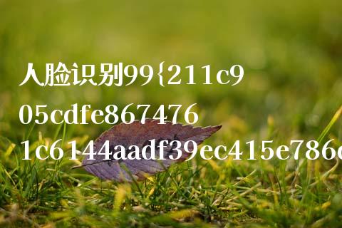 人脸识别99%相关股票_https://qh.lansai.wang_新股数据_第1张