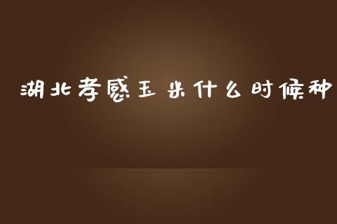 湖北孝感玉米什么时候种_https://qh.lansai.wang_期货喊单_第1张