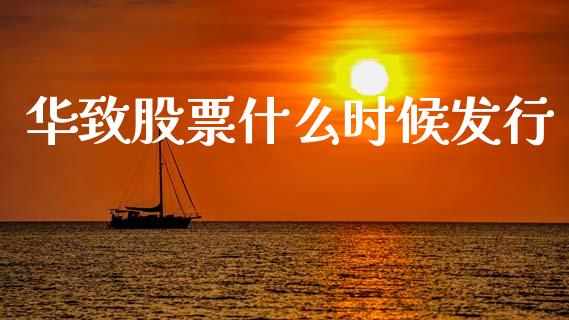 华致股票什么时候发行_https://qh.lansai.wang_期货喊单_第1张
