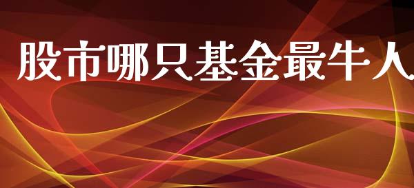 股市哪只基金最牛人_https://qh.lansai.wang_期货理财_第1张