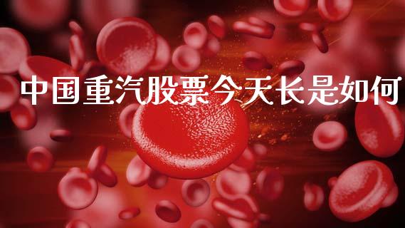 中国重汽股票今天长是如何_https://qh.lansai.wang_期货理财_第1张