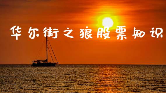 华尔街之狼股票知识_https://qh.lansai.wang_期货喊单_第1张