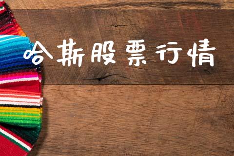 哈斯股票行情_https://qh.lansai.wang_股票新闻_第1张