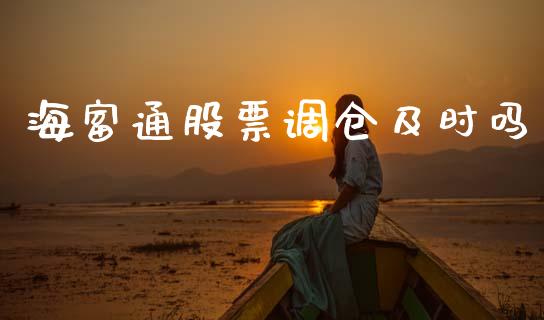 海富通股票调仓及时吗_https://qh.lansai.wang_期货怎么玩_第1张