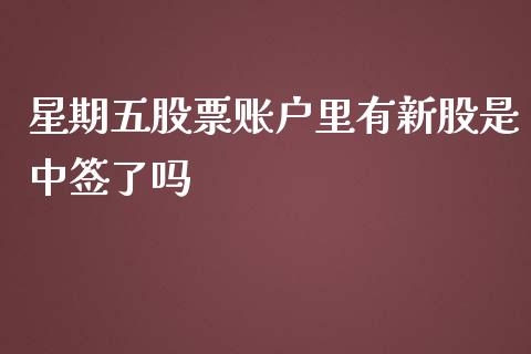 星期五股票账户里有新股是中签了吗_https://qh.lansai.wang_期货理财_第1张