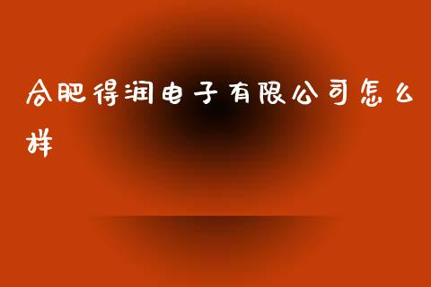 合肥得润电子有限公司怎么样_https://qh.lansai.wang_股票技术分析_第1张