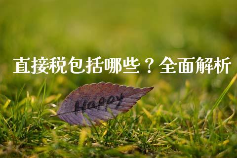 直接税包括哪些？全面解析_https://qh.lansai.wang_股票新闻_第1张