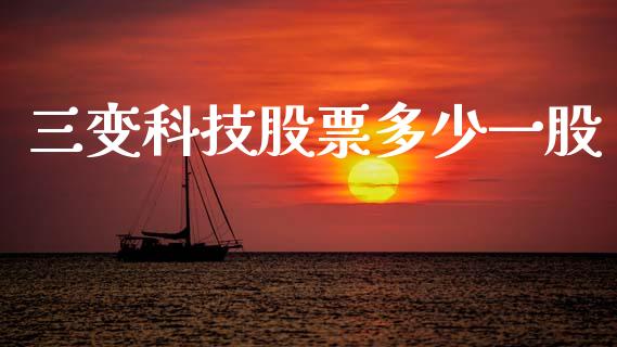 三变科技股票多少一股_https://qh.lansai.wang_新股数据_第1张
