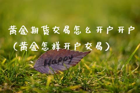 黄金期货交易怎么开户开户（黄金怎样开户交易）_https://qh.lansai.wang_期货理财_第1张