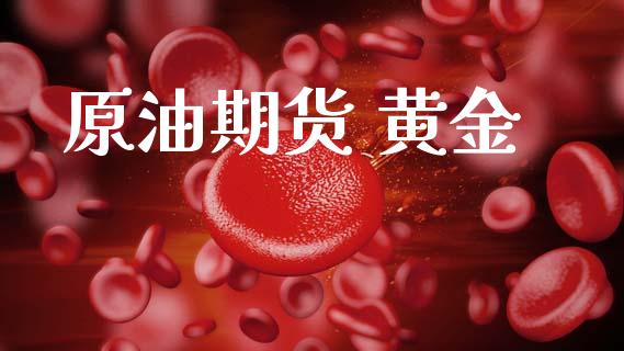 原油期货 黄金_https://qh.lansai.wang_期货怎么玩_第1张