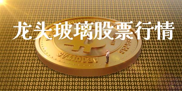 龙头玻璃股票行情_https://qh.lansai.wang_期货喊单_第1张