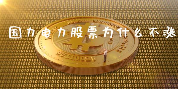国力电力股票为什么不涨_https://qh.lansai.wang_期货怎么玩_第1张