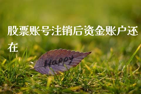 股票账号注销后资金账户还在_https://qh.lansai.wang_新股数据_第1张