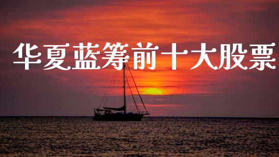 华夏蓝筹前十大股票_https://qh.lansai.wang_期货喊单_第1张