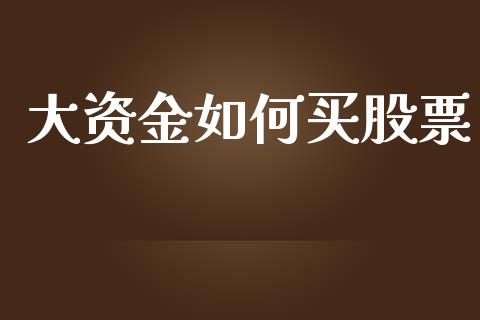 大资金如何买股票_https://qh.lansai.wang_新股数据_第1张