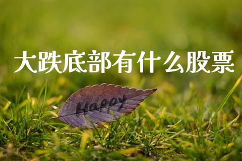 大跌底部有什么股票_https://qh.lansai.wang_期货理财_第1张