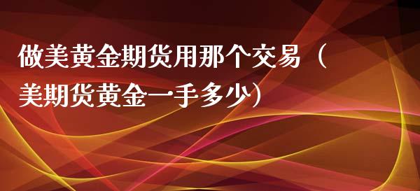 做美黄金期货用那个交易（美期货黄金一手多少）_https://qh.lansai.wang_期货喊单_第1张