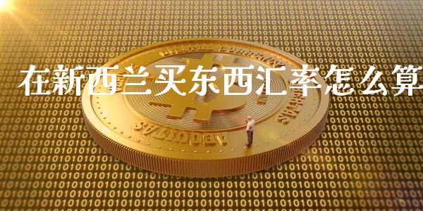 在新西兰买东西汇率怎么算_https://qh.lansai.wang_期货怎么玩_第1张