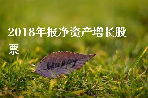 2018年报净资产增长股票_https://qh.lansai.wang_新股数据_第1张