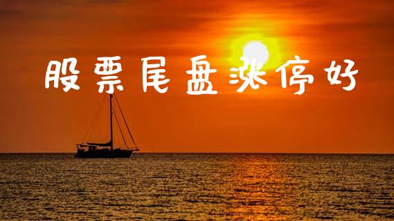 股票尾盘涨停好_https://qh.lansai.wang_期货喊单_第1张