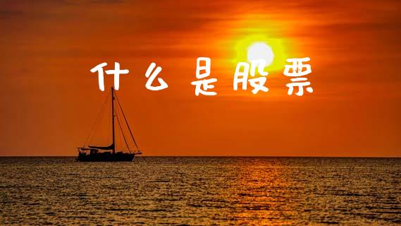 什么是股票_https://qh.lansai.wang_期货怎么玩_第1张