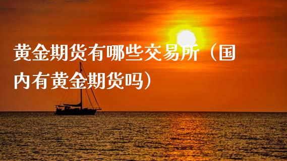 黄金期货有哪些交易所（国内有黄金期货吗）_https://qh.lansai.wang_期货喊单_第1张