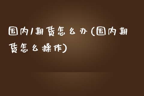 国内1期货怎么办(国内期货怎么操作)_https://qh.lansai.wang_期货怎么玩_第1张