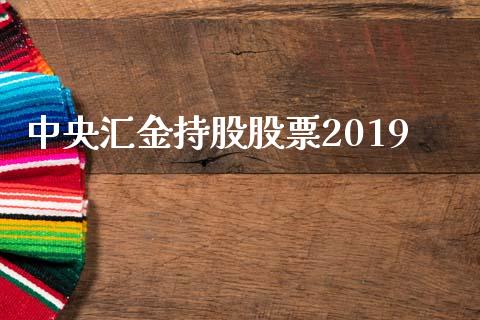 中央汇金持股股票2019_https://qh.lansai.wang_期货怎么玩_第1张