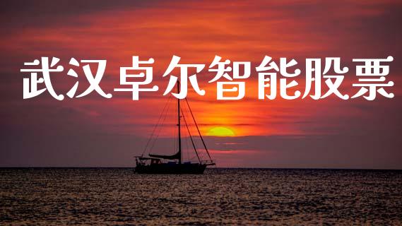 武汉卓尔智能股票_https://qh.lansai.wang_期货理财_第1张